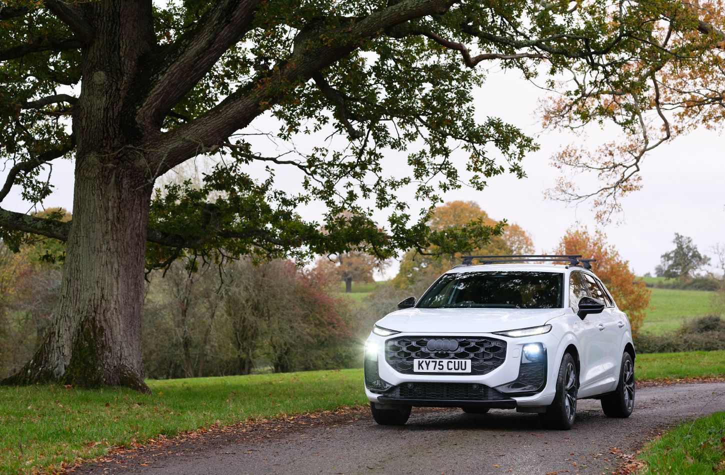 Latest Updates > Discover > Audi UK - Animal attraction